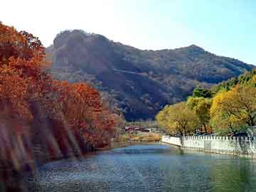 正版澳门天天开彩大全，站群模板